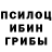 Псилоцибиновые грибы MAGIC MUSHROOMS MrGFrock