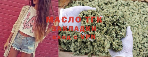 дживик Каменногорск