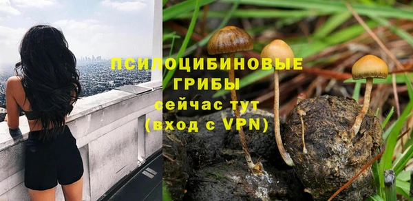 гидропоника Карталы