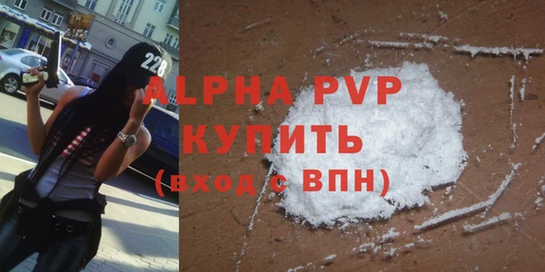 мяу мяу мука Инсар