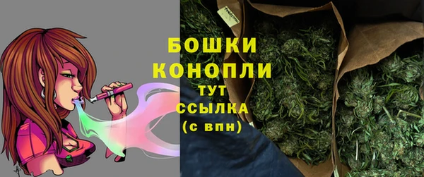 хмурый Карпинск