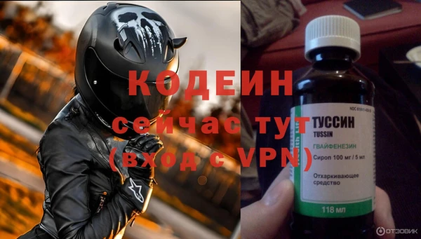 хмурый Карпинск